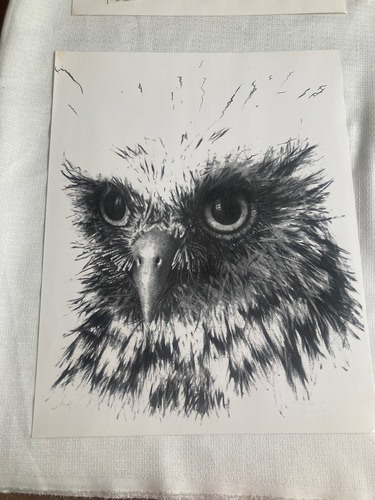 Divertimentos, Cinco Dibujos De Rafael Cauduro (Usado)