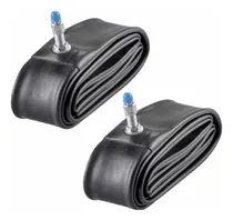 Comprar Cámaras De Bicicletas Rodado 20 Válvulas Bici X 2 Unidades