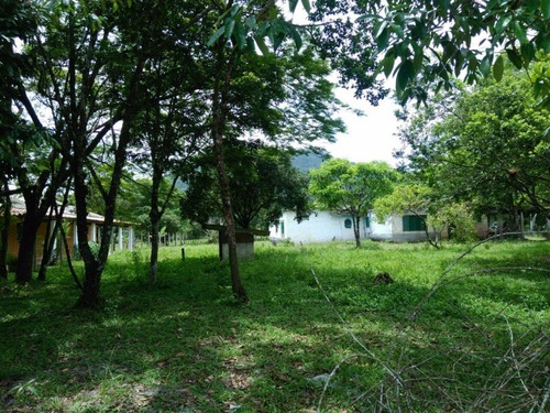 Imagem 5 de 14 de Terreno De Chacara - 0 - 4410795