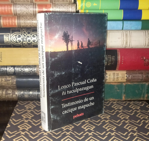 Testimonio De Un Cacique Mapuche - Lonco Pascual Coña (Usado)