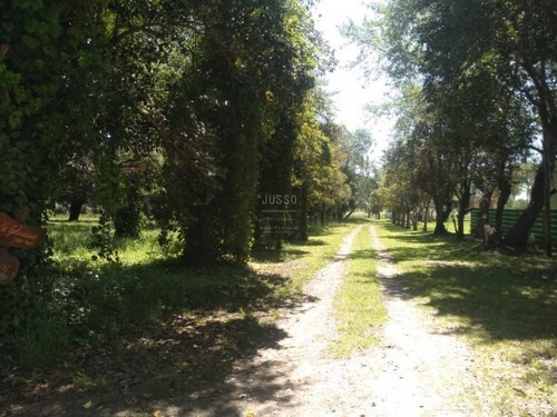 Imagen 3 de 15 de Lote Barrio Colinalegre Venta 740m2