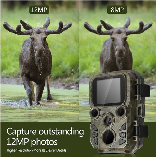 Camara Mini Caceria, Vision Nocturna, Hd 1080, 12mp