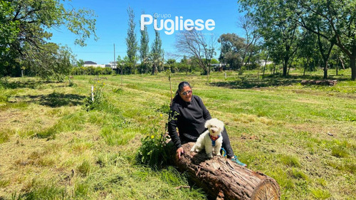 Terreno En Venta En Moreno