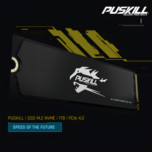 Hd Ssd M.2 2280 PUSKILL 1tb NVMe PCIe 4.0x4 Psk-m2ssdp44-1024g