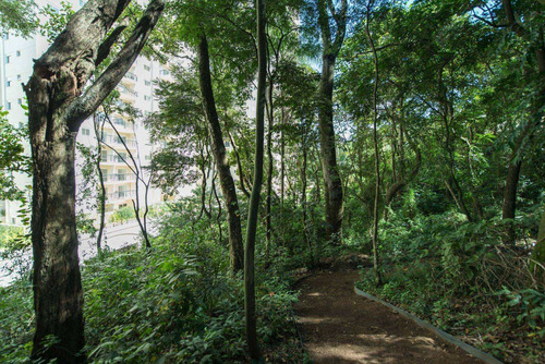 Apartamento Com 3 Dormitórios À Venda, 87 M² Por R$ 626.000,00 - Jardim Tupanci - Barueri/sp - Ap1664