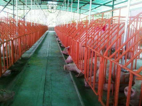 Imagen 2 de 14 de Venta De Finca Porcina En Produccion Para Inversionistas