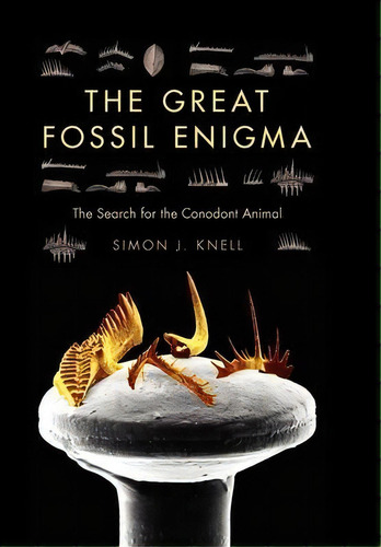 The Great Fossil Enigma : The Search For The Conodont Animal, De Simon J. Knell. Editorial Indiana University Press, Tapa Dura En Inglés