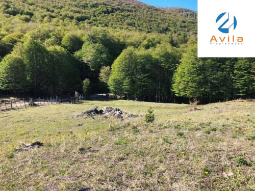 Coyhaique Lago Castor Parcelas Con Acceso Playa Cod.vtap192