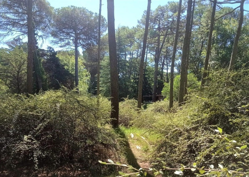 Imagen 9 de 12 de Impresionante Lote En Cariló