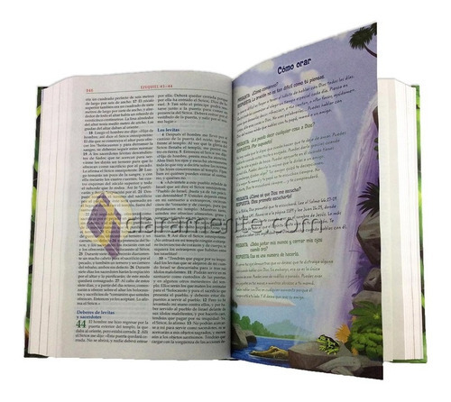 Biblia Nvi Aventura Para Niños En Español · A Todo Color, De Nueva Versión Internacional. Editorial Vida En Español