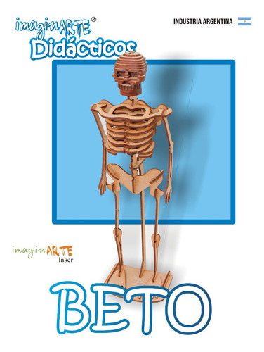Maqueta Esqueleto 3d Beto El Esqueleto 40cm-imaginarte Láser