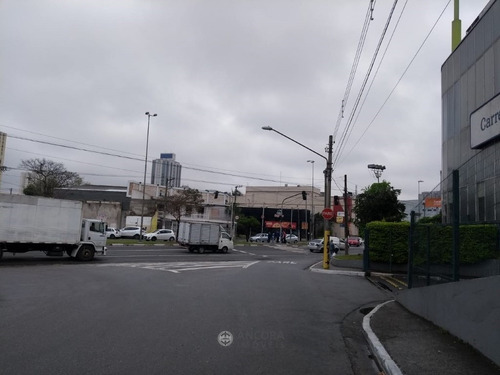 Imagem 5 de 8 de Terreno Comercial 1500 M² - Centro - 4046-2