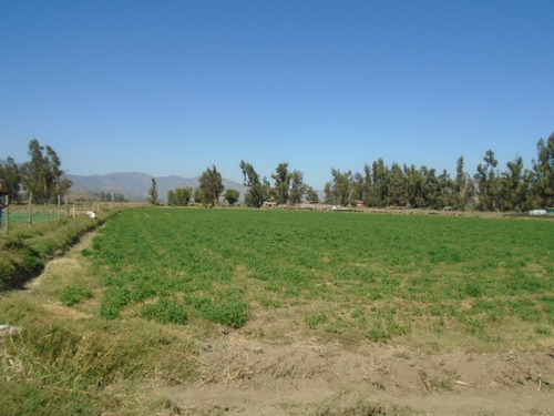 Se Vende Paño 17 Has. Totalmente Plano En Camino El Toro