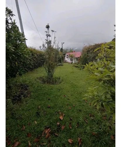 Venta De Finca En Guarne Vereda La Clara.