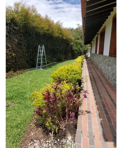 Finca En Vender En Rionegro
