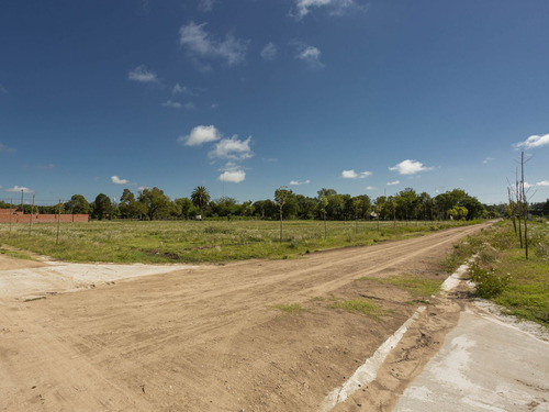 Lote 20 Villa Chica