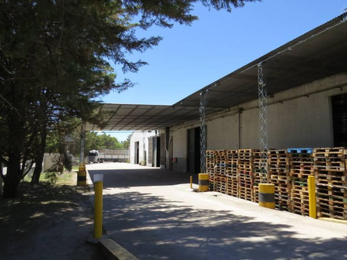 Venta De Planta Elaboradora De Alimento Balanceado Cordoba General Deheza