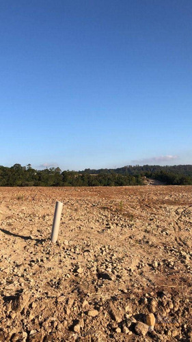 Imagem 16 de 27 de Terreno À Venda, 300 M² Por R$ 115.000,00 - São Giácomo - Caxias Do Sul/rs - Te0173