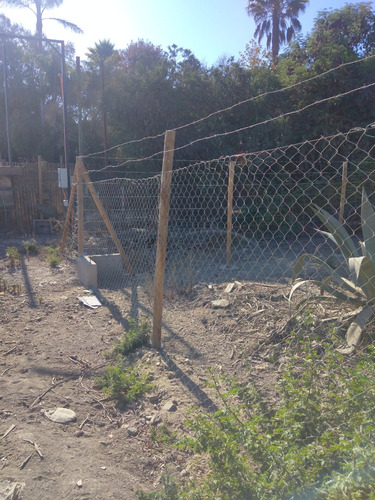 Reñaca, Los Pinos, A 2 Cuadras De Avda. Gastón Hamel