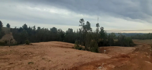 Parcelas En  Florida  Con  Electricidad   Desde 25m