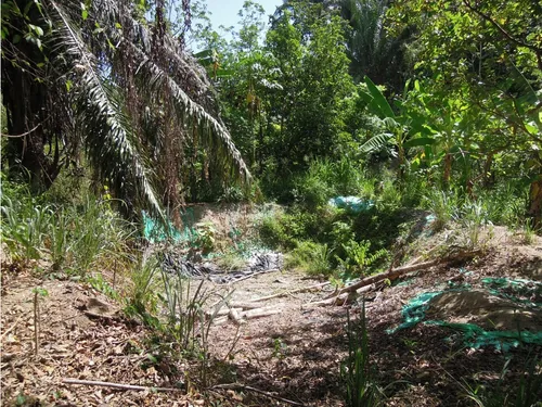 Venta Lotes Con O Sin Casa, Agua, Luz, Klm 15 Via Minca