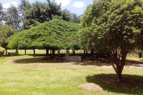 Apartamentos - Ref: V13754