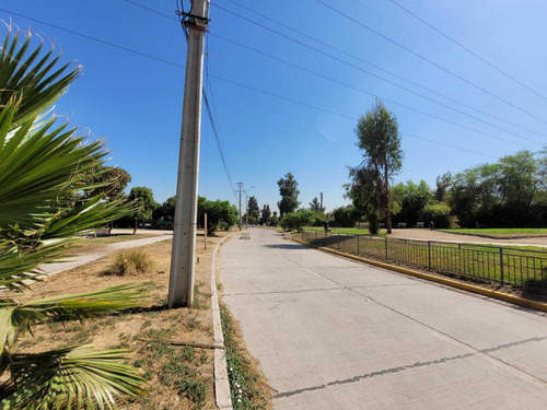 Av. San Carlos (91106)