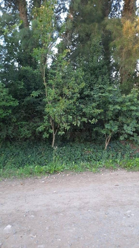Imagen 2 de 3 de 27 Bis Entre 422 Y 426, Villa Elisa - Venta De Lote En Ph