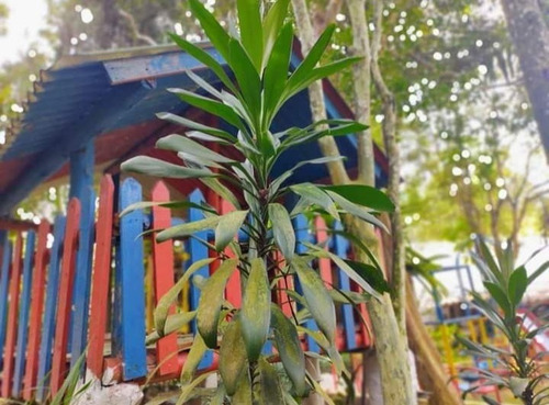 Imagem 19 de 19 de Pj Chácara A Venda Em Suzano