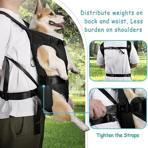 Bolso porta perros hotsell