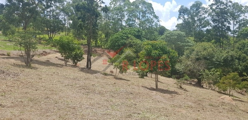 Imagem 14 de 14 de Chácara Para Venda No Bairro Terra Preta (terra Preta), 6 Dorm, 50 Vagas, 600 M, 20000 M - 2355