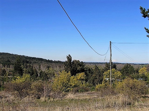 Cauquenes Camino A Chanco, M-50 / 4 Hectáreas (70070)