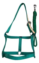 Comprar Cabresto Verde Para Cavalo Modelo Inglês \u002F Quarto De Milha 