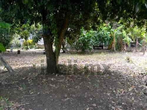 Imagen 13 de 16 de Venta De Terreno 690.51 M² Colonia Gabino Gonzalez Álamo Veracruz. Ubicado En Avenida Principal J.l. Garizurieta Colonia Gabino Gonzalez En El Municipio De Álamo Veracruz, Cuenta Con Una Superficie P