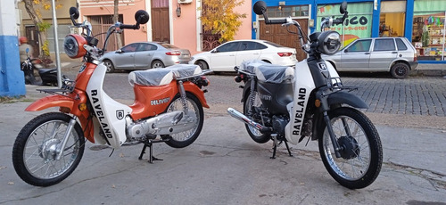 Moto Pollerita Raveland Modelo Delivery 50 Cc Y 110 Cc