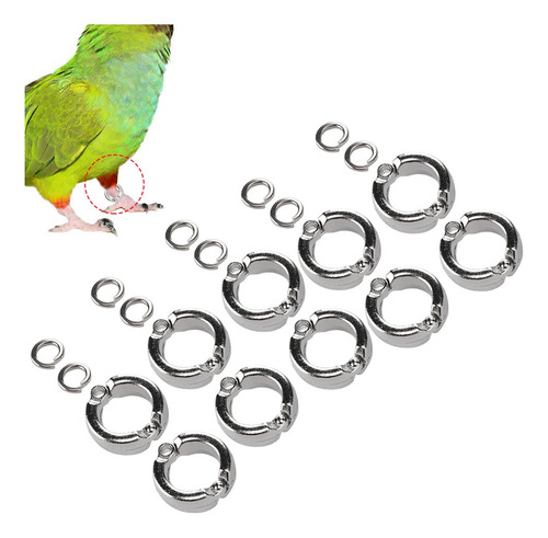 10pcs Bird Parrots Pierna Anillo De Entrenamiento De La Mosc