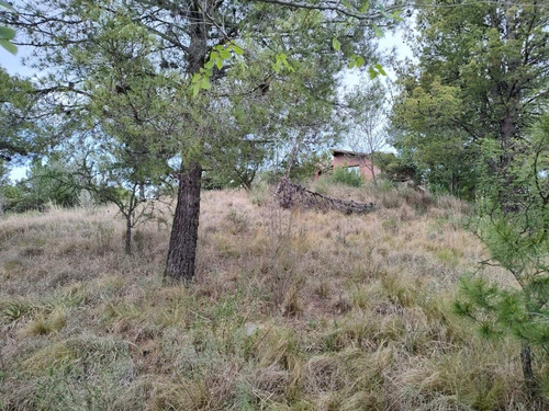 Imagen 8 de 24 de Terreno En Venta De 909m2 Ubicado En Villa Giardino