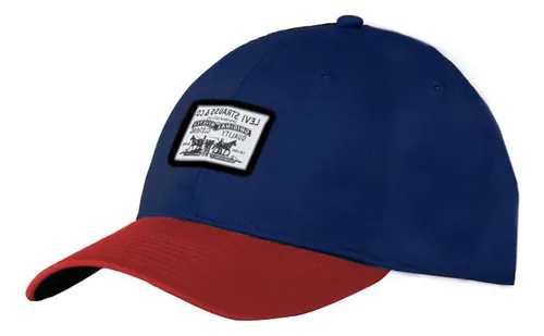 Gorra Hombre Curved Structured Visor Trucker - Patch Levis