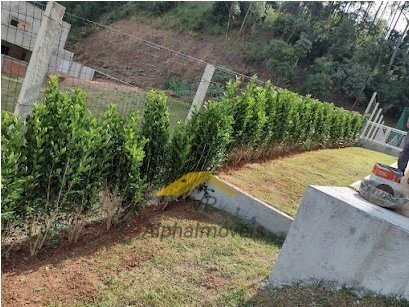 Imagem 7 de 30 de Casa Em Condomínio Para Venda Em Residencial Tamboré Barueri-sp - Vptb01-n