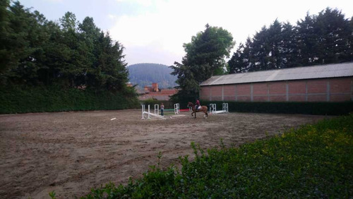 Imagen 4 de 14 de Club Hípico, ¡excelente Oportunidad De Inversión!