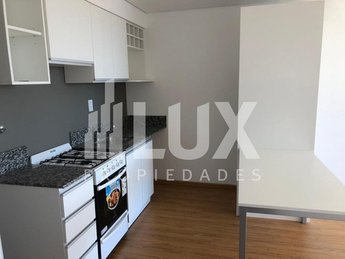 Imagen 5 de 18 de Departamento - Abasto- Monoambiente