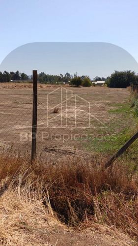 ¡tu Refugio De 5.000 M² En Unihue, Maule, Te Espera!