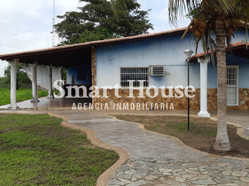 Se Vende Finca En Valle De La Pascua / Rrev09m