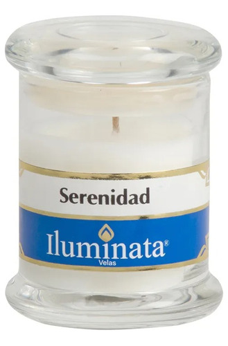 Velas Aromatizadas Concentradas Envase De Vidrio