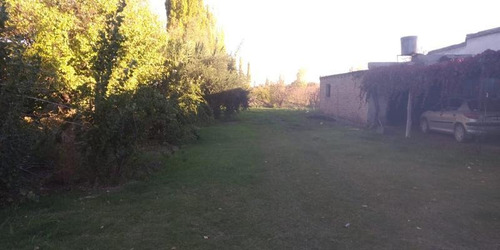 Imagen 2 de 8 de Campo - Bowen