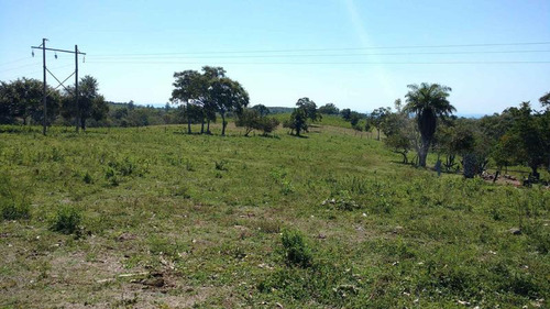 Vendo Rancho Ganadero 223 Hectáreas Temapache Veracruz