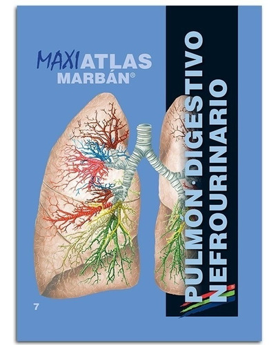 Maxi Atlas Pulmón-digestivo-nefrourinario N° 7