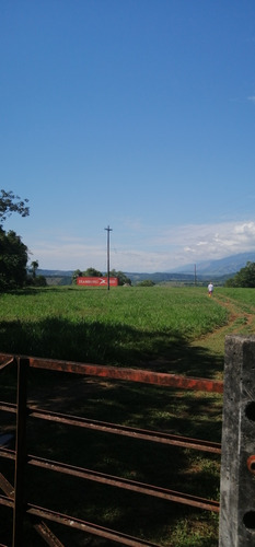 Se Vende Finca Con Cultivo De Vainilla-medina, Cundinamarca