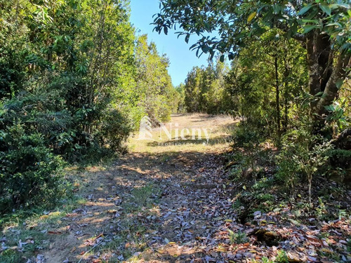 Sitio De 99 Has En Venta En Corral, A 30 Min De Valdivia