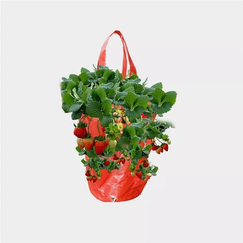 Imagen 2 de 3 de Bolsa Para Cultivo De Plantas Tipo Maseta,